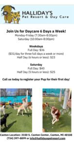 Hallidays Pet Resort